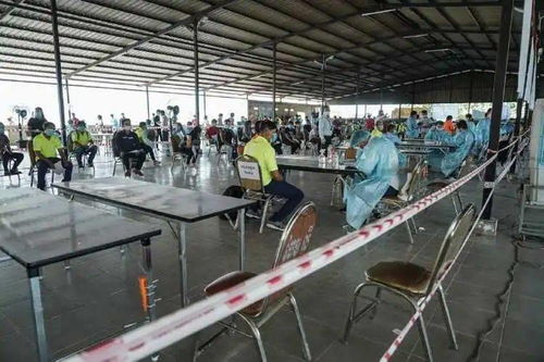 新規(guī) 工廠企業(yè)須在9月10日前對員工進(jìn)行2次檢測