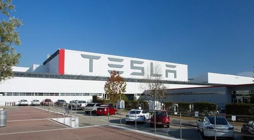 特斯拉加州工廠要復工 特朗普發聲 支持馬斯克