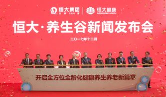 恒大養(yǎng)生谷建國(guó)際一流 醫(yī)聯(lián)體 租購旅 并舉普惠民生