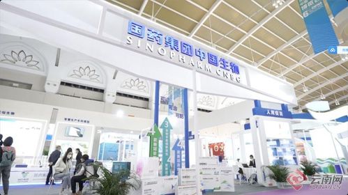 智慧引領(lǐng)，科技賦能 記者帶你解鎖南博會新體驗——恒特發(fā)展焦點(diǎn)